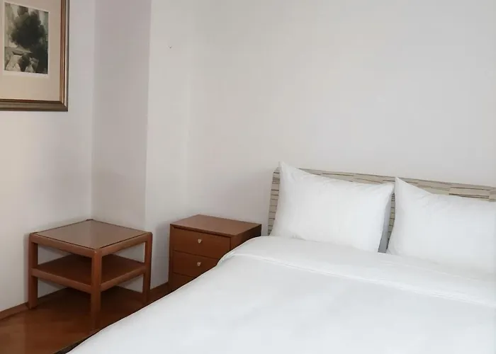 Two Story Penthouse In Heart Of Apartament Sarajewo